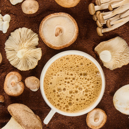 Delish Mushroom Coffee